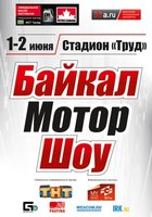 БМШ 2013