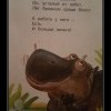 Бегемот