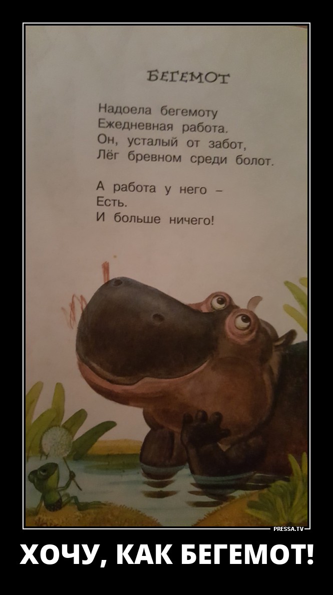 Бегемот