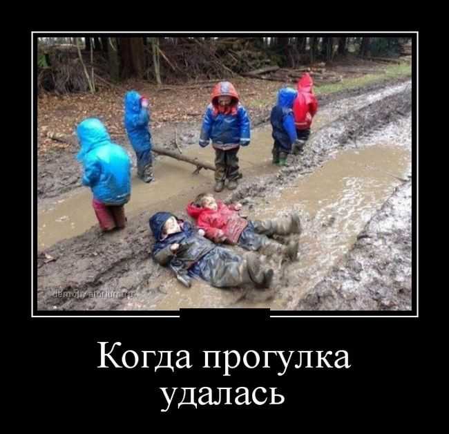 Прогулка удалась