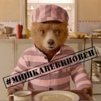 #мишканевиновен