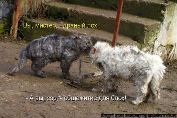 67c1d70034f3bac8fd1b2bc662e prev