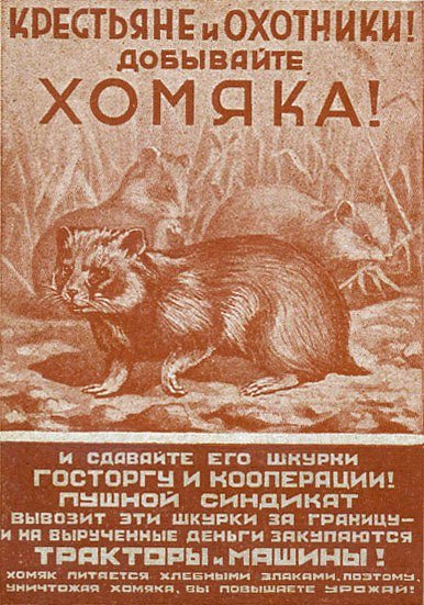 Повысим урожай