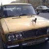 Скотч + лошадка = почти Феррари