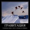 Гравитация