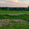 50 оттенков зелени 