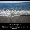 Хочу на море Хочу на море