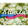 День семьи, любви и верности