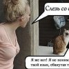 о котах ))