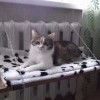 Лежанка Лежанка