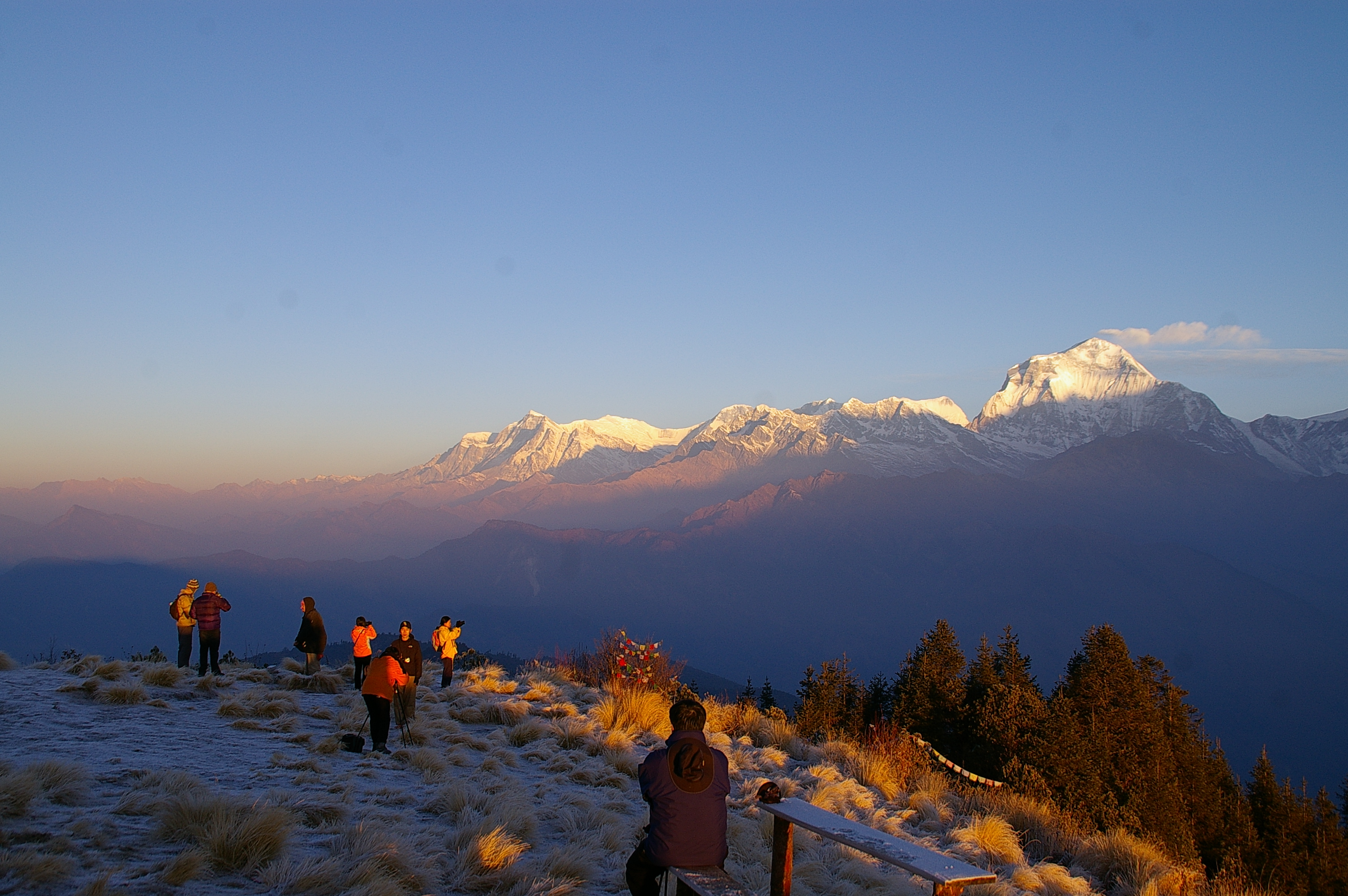 Новогоднее утро 