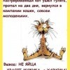 Харизма Харизма