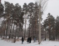 В 82 квартале закончились электромонтажные работы по восстановлению уличного освещения В 82 квартале закончились электромонтажные работы по восстановлению уличного освещения