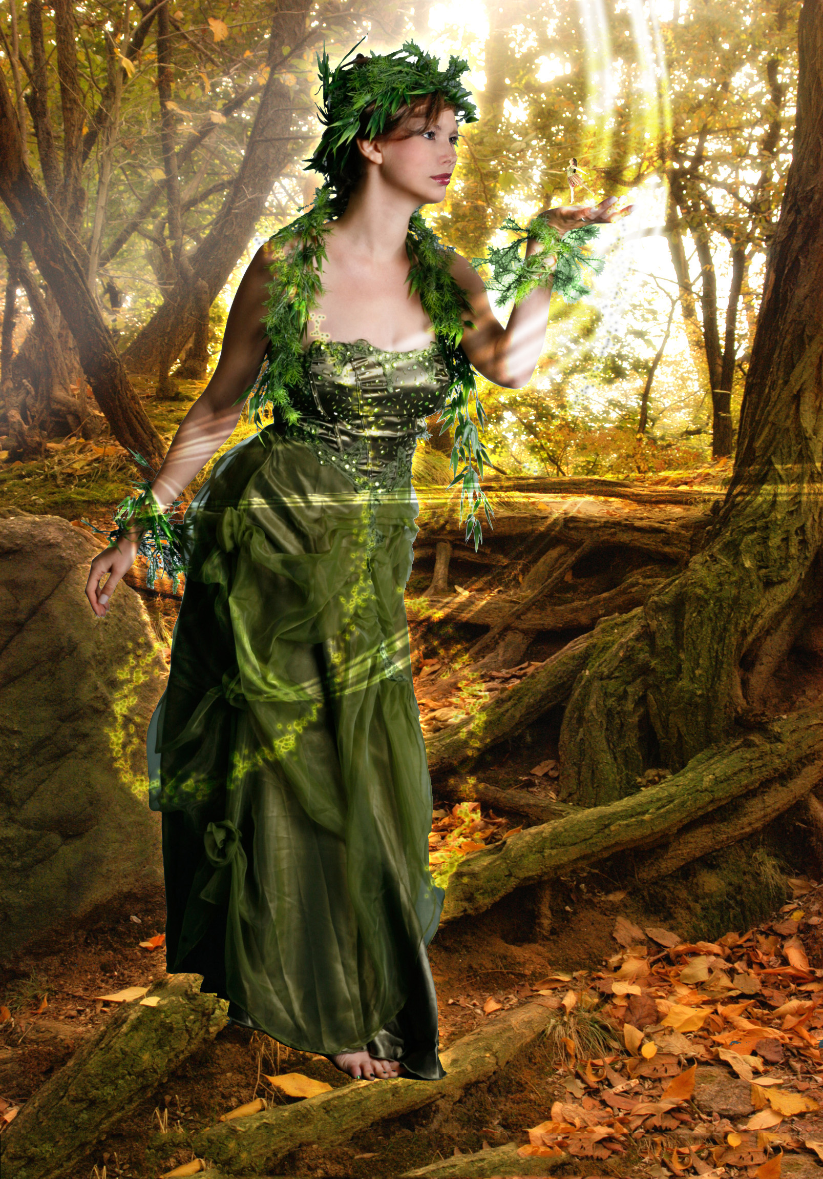 Forest   05 by stockcity