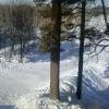 горка за современником