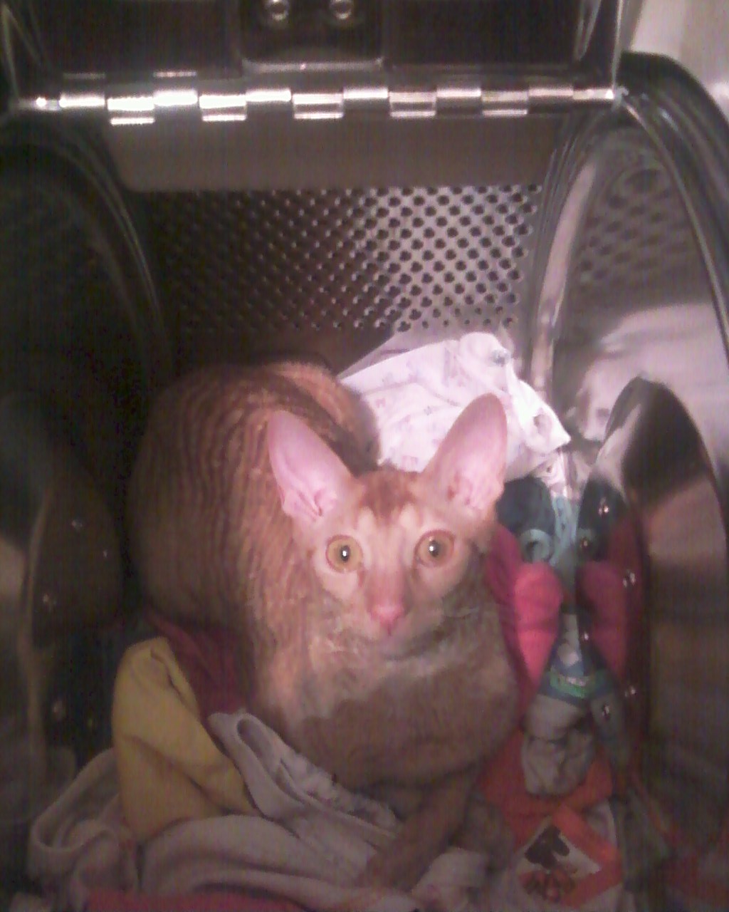 к стирке готовсь!