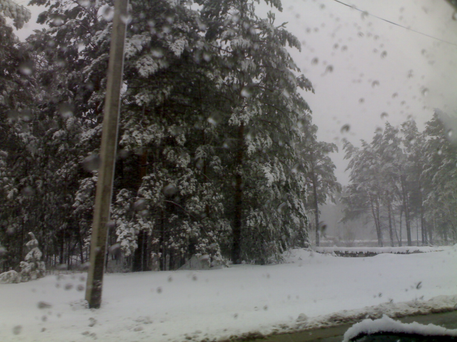 апрель,весна.