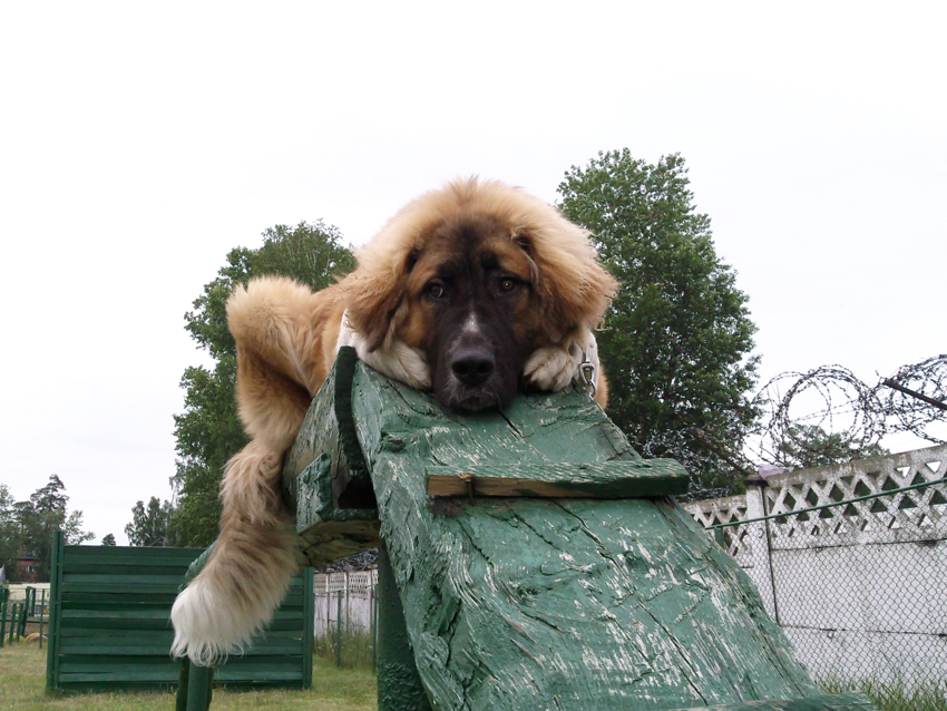 Снимите меня от сюда...