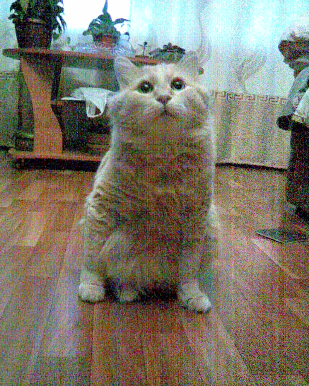 слушаю вас внимательно.