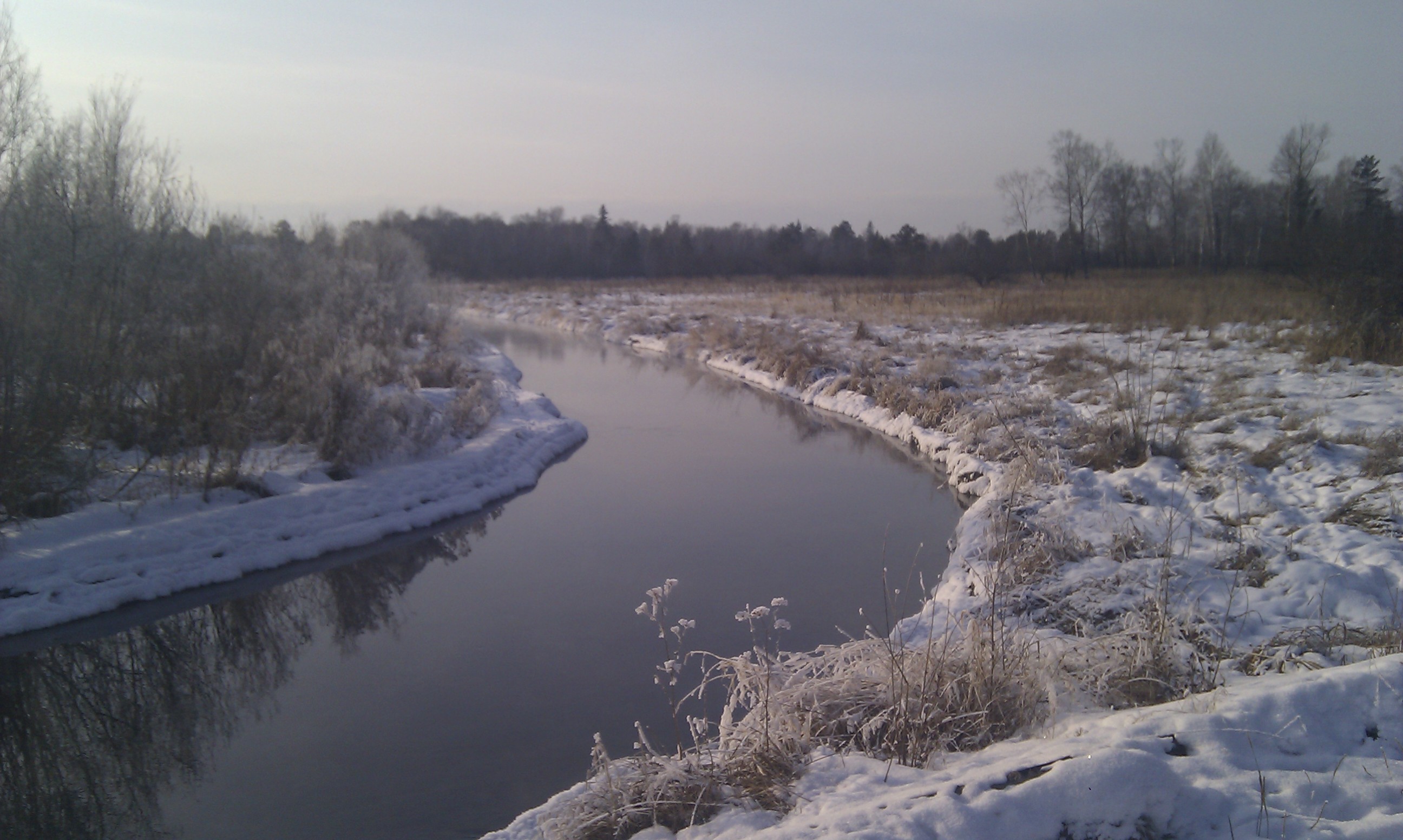 Тёпка в декабре)))))