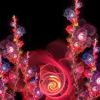 Fr-flowers-1152 Fr-flowers-1152