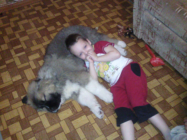 Герда и Егор