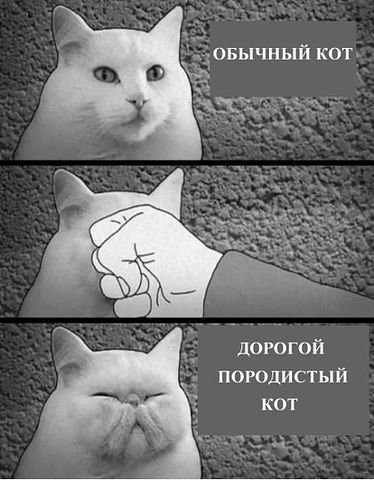 котейко