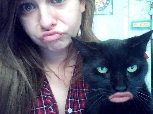 гламурные  кисо))))