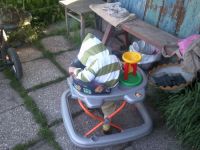 Главный огородный Главный огородный