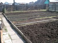 Гатовы к пасивной)))) Гатовы к пасивной))))