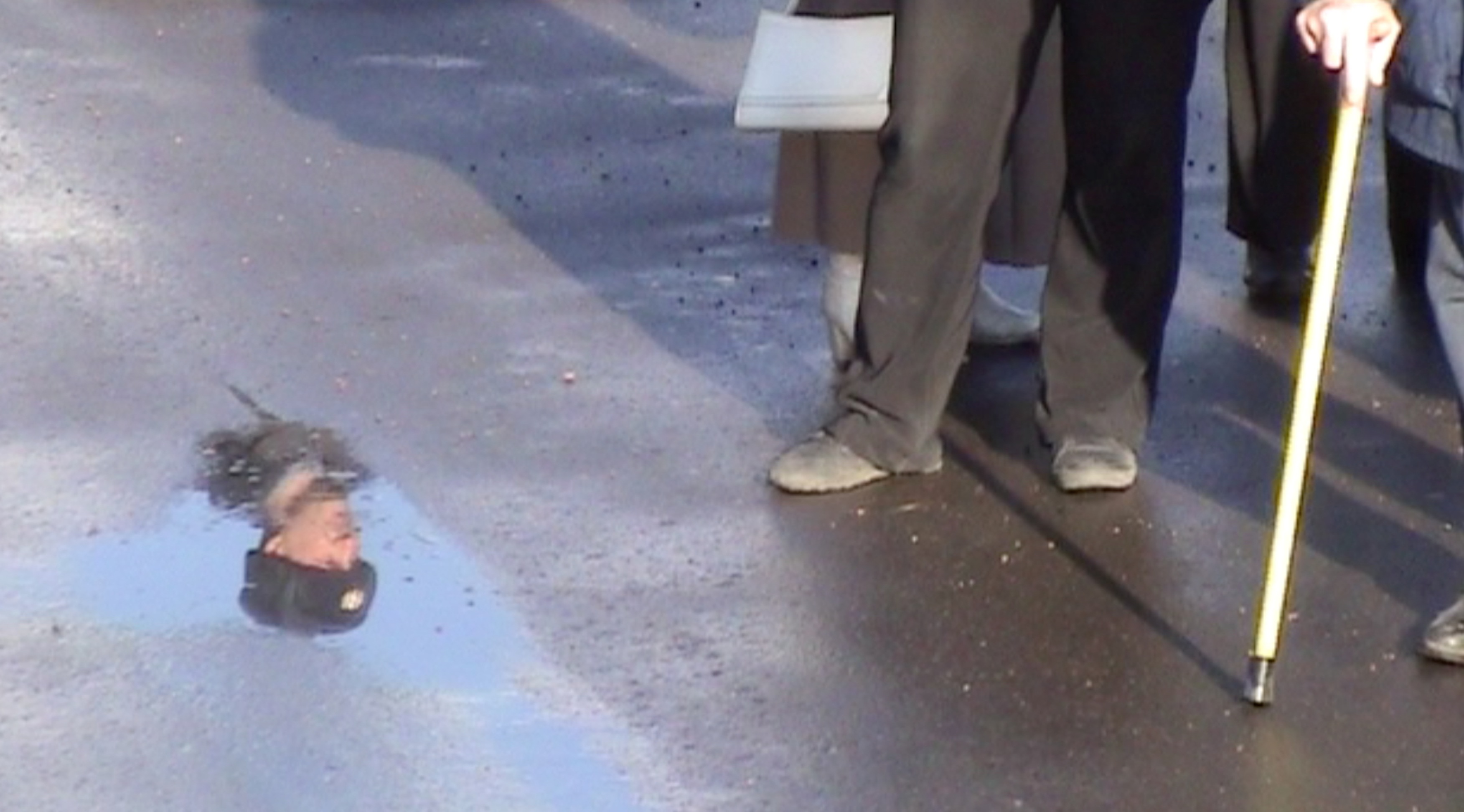 голова и ноги