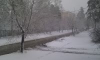 Imag0055