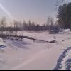 Еловка в начале марта)))