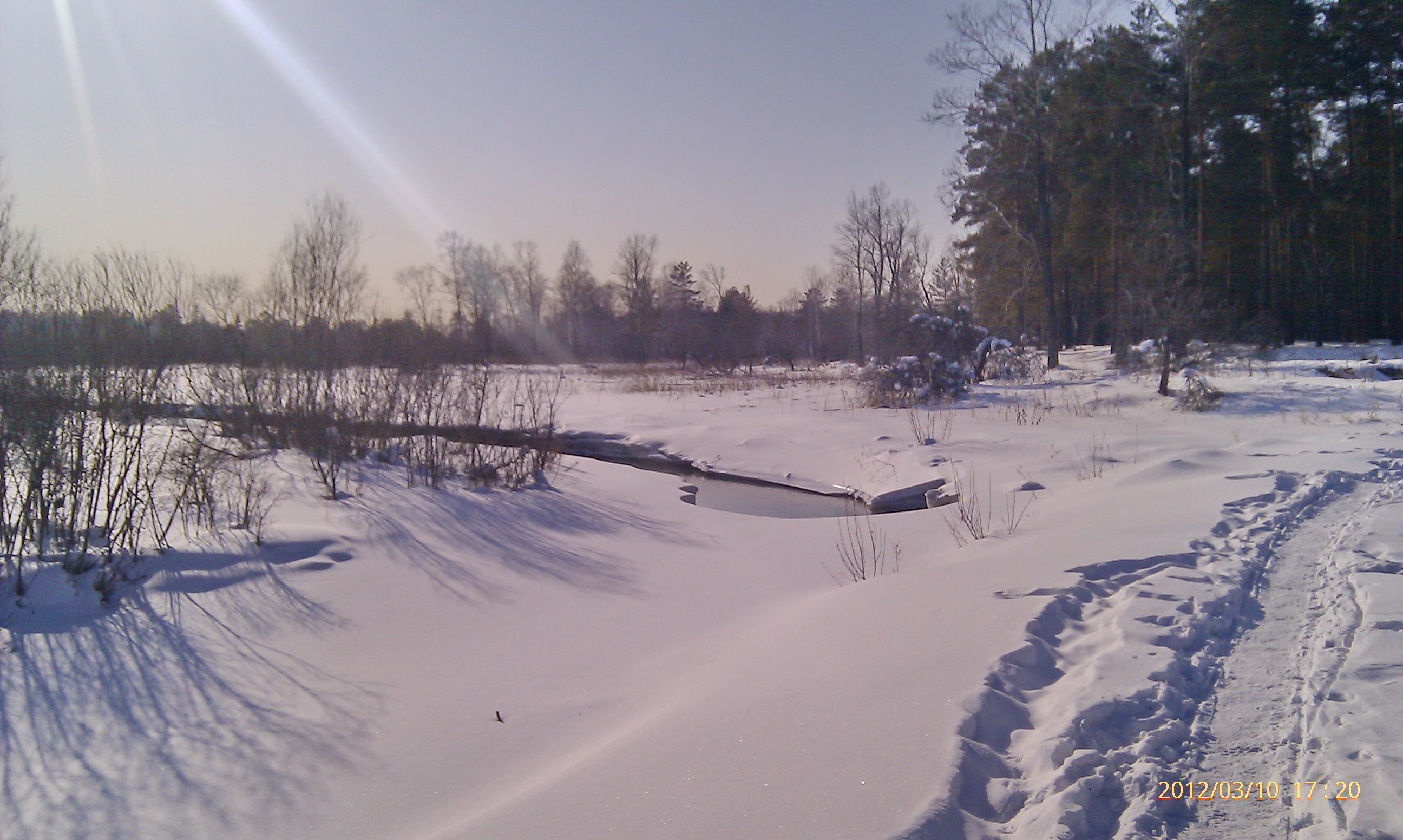 Еловка в начале марта)))