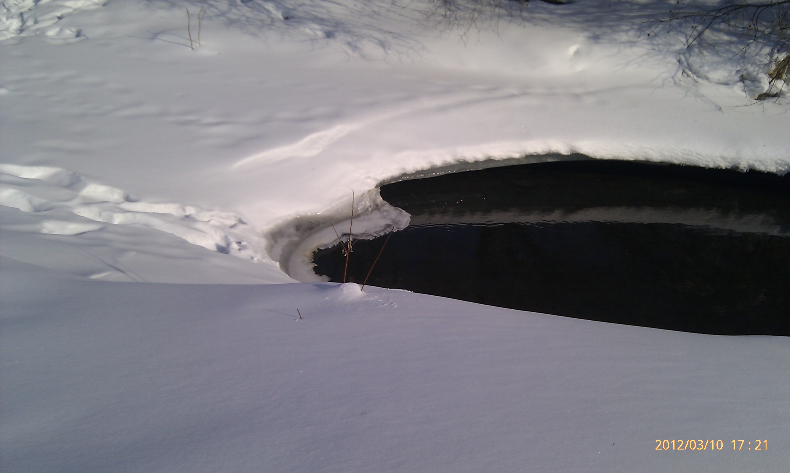 Проталина))))