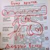 Как голосовали в России