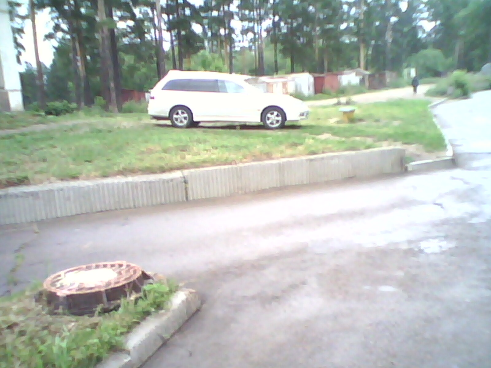 любитель газонов травку вытоптал 2