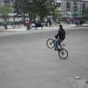 Img 0062