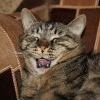 Img 0255 Img 0255