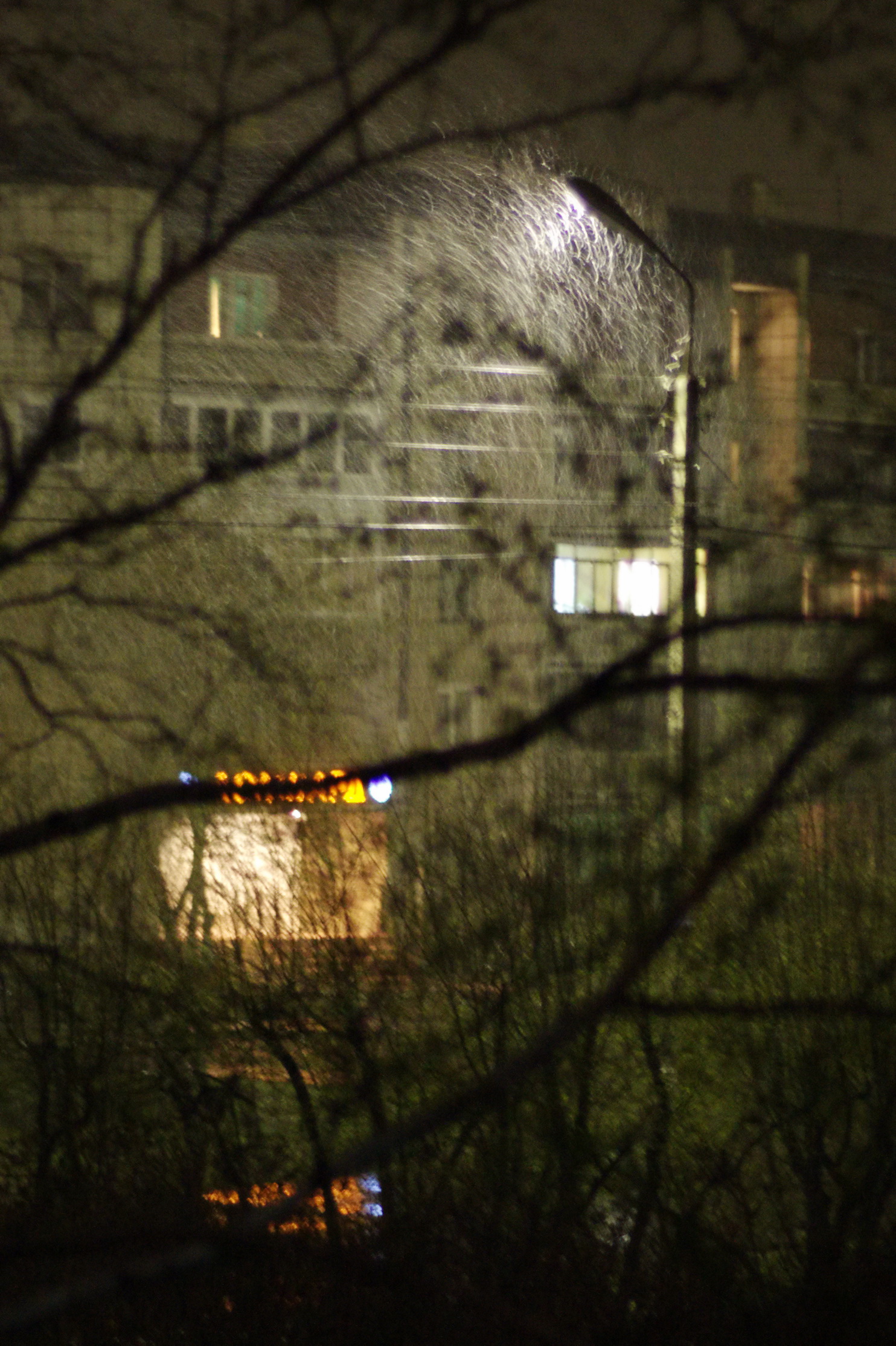 Зима. Дубль 3