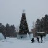 Img 0545 Img 0545