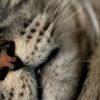 Img 0569 Img 0569