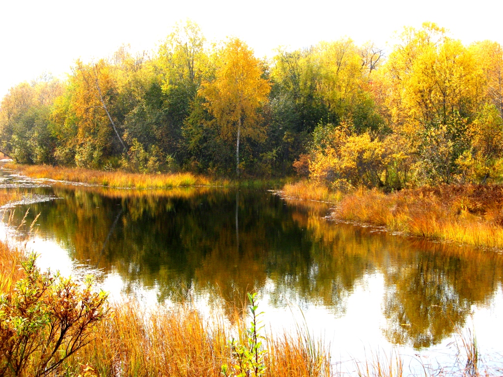 Img 0862 par ОСЕННЕЕ ЗЕРКАЛО 