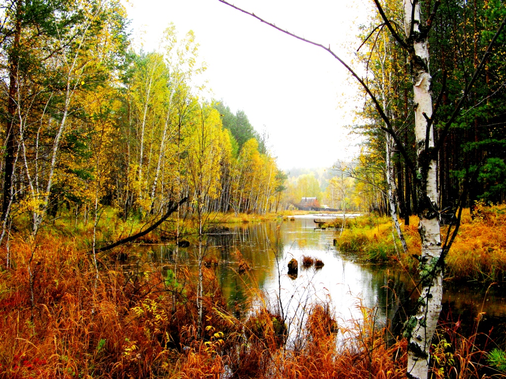 Img 1176-1 veb ОСЕНЬ У ОЗЕРА