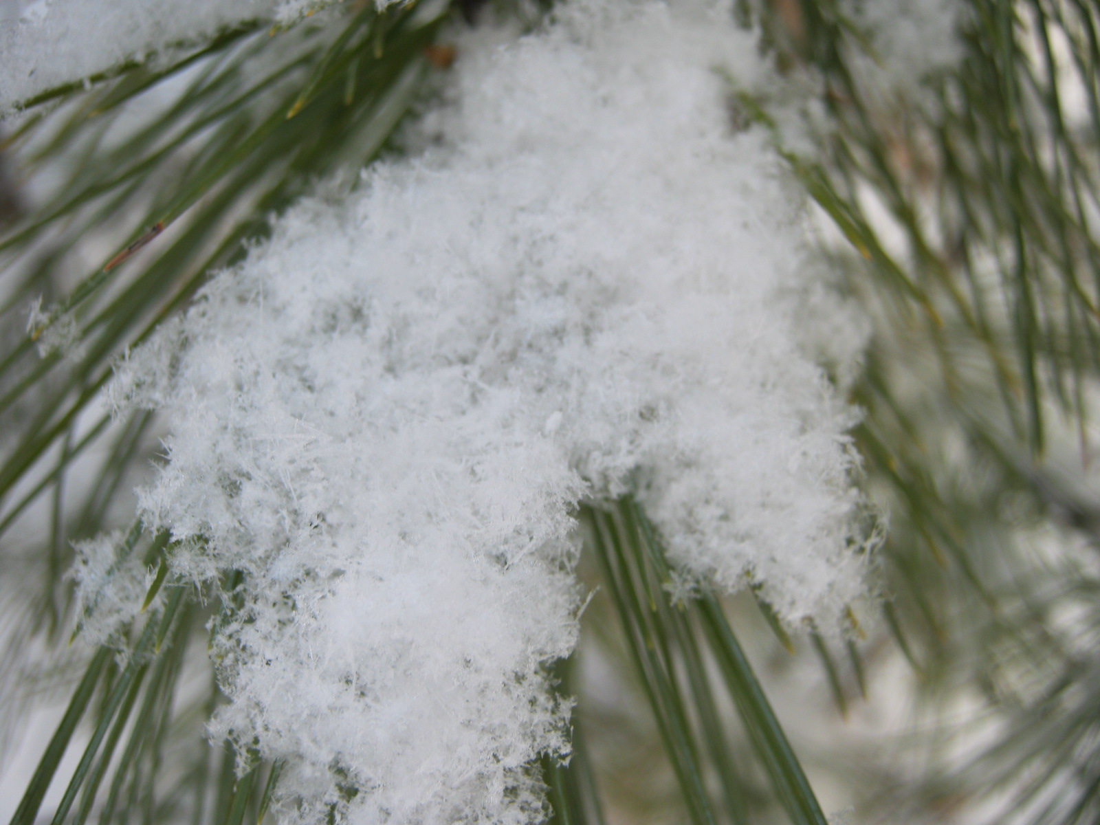 Снег пушистый