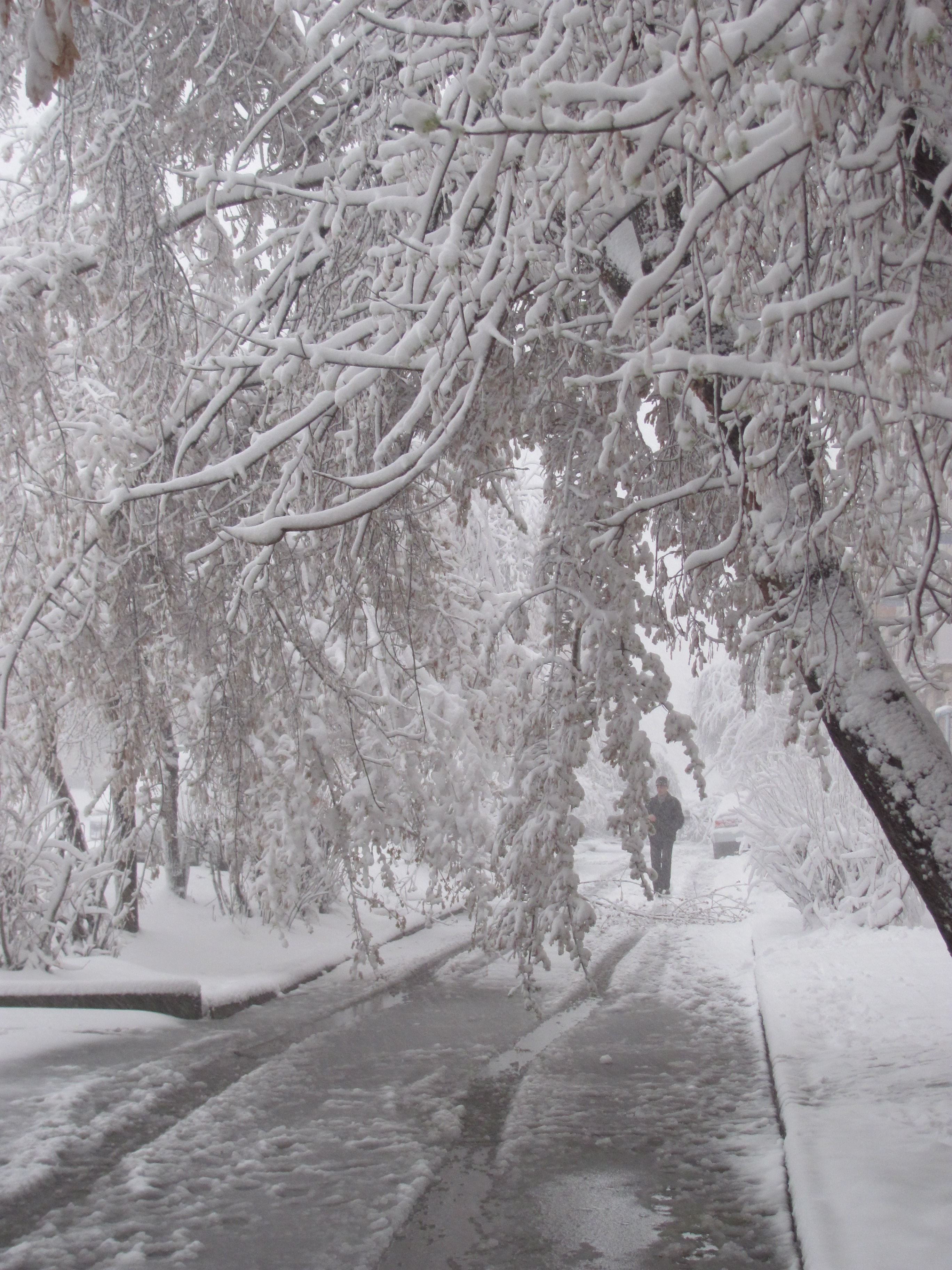 Весна в Ангарске