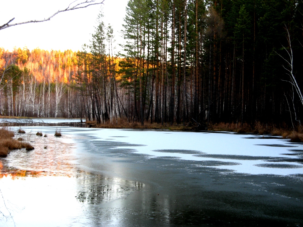 22.10.11.СЕГОДНЯ ЗИМА НА ПОДСОЧКЕ