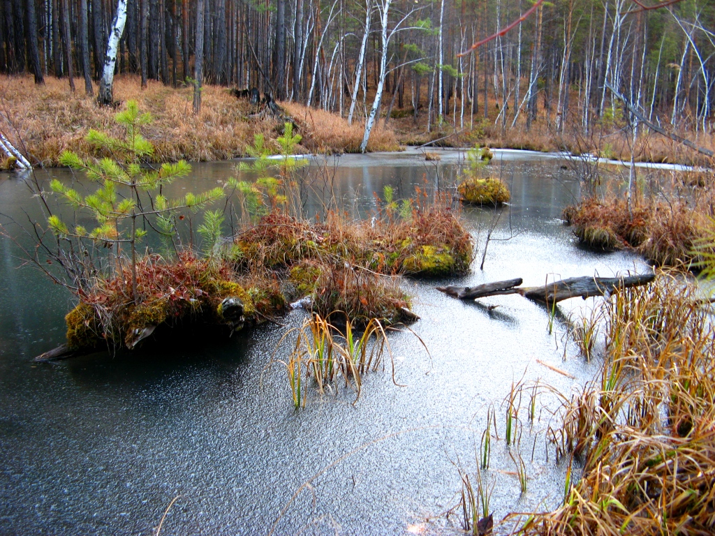 22.10.11. УЖЕ КАТОК НА ПОДСОЧКЕ