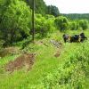 IMG 1573 VEK