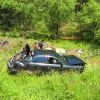 IMG 1576 VEK